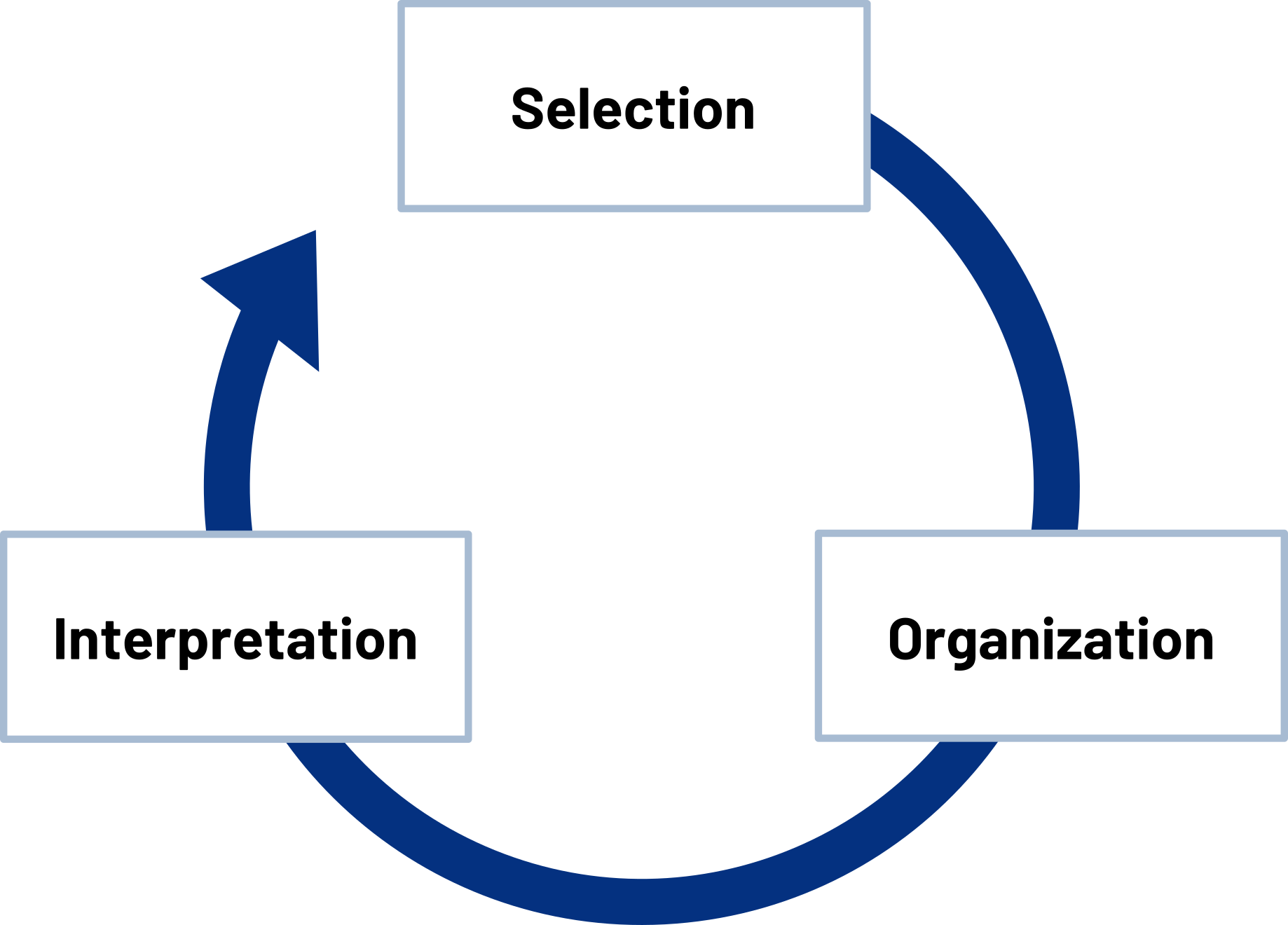 Clockwise circle arrow that reads: Selection, Organization, Interpretation.
