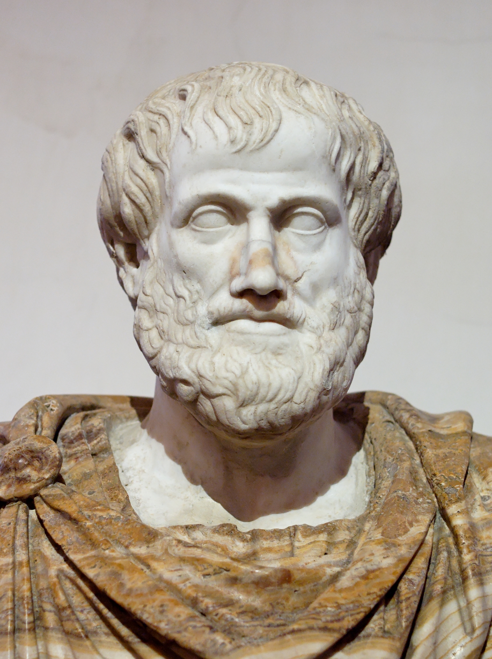 Marble sculpture of the bust of Aristotle