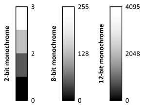 Correspondence between shades of gray and pixel value on 2-bit, 8-bit, and 12-bit scales. Black corresponds to 0 in both scales. White corresponds to 3, 255, and 4095 in 2-bit, 8-bit, and 12-bit scales, respectively