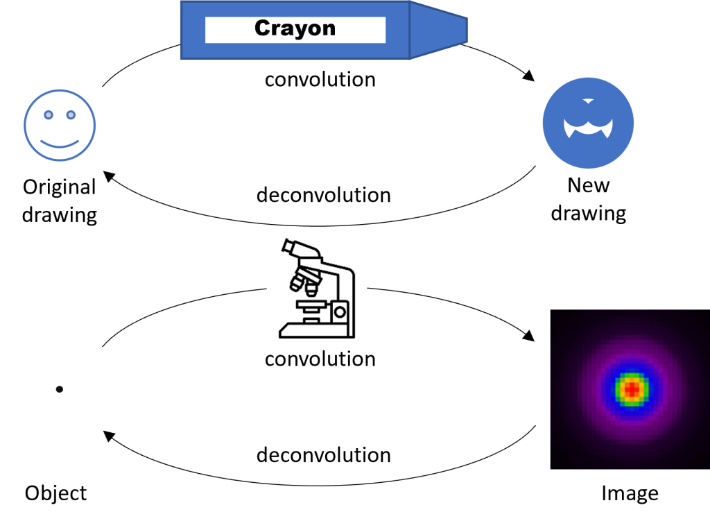 Diagram illustrating the process of convolution and deconvolution in a microscope by comparing it to fat crayon drawing over a thin line drawing.