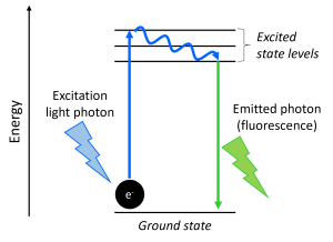 Jablonski diagram showing the energy levels associated with fluorescence excitation. An electron is excited by a photon to higher energy levels, drops to the lowest excited state level, and finally drops back to the ground state and emits a photon.